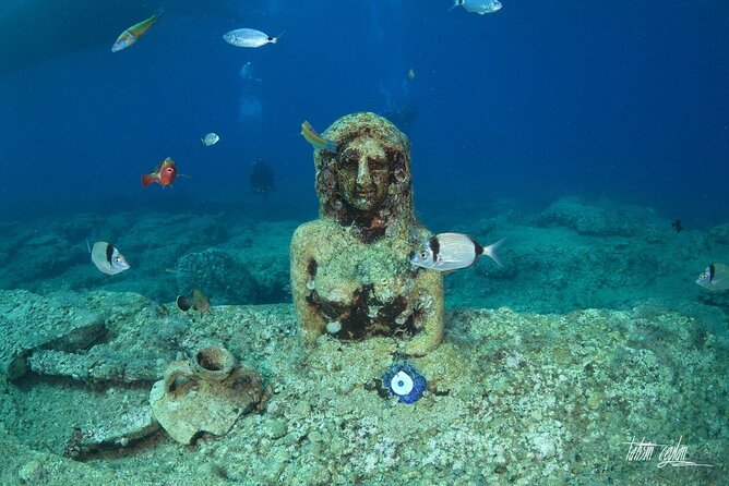 Diving Trip in Side With Underwater Museum Tour Diver Training - Last Words