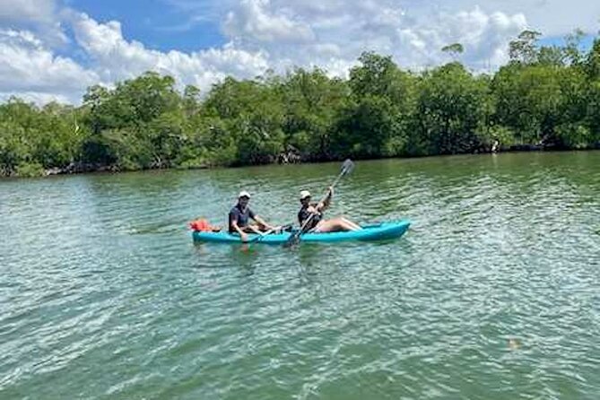 Dolphin and Manatee Kayak Tour of Daytona Beach - Booking and Pricing