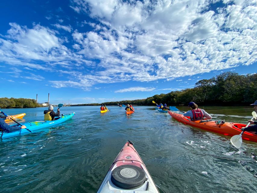 Dolphin Sanctuary and Ships Graveyard Kayak Tour - Important Information