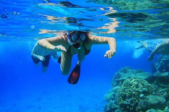 Double Reef Snorkel, Dolphin & BBQ - Cancellation Policy