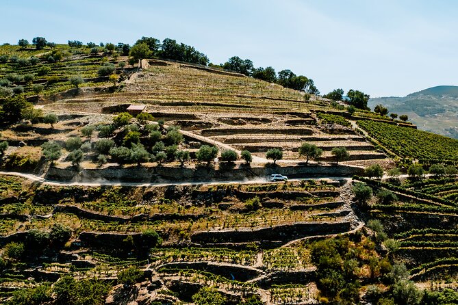 Douro Adventure - Tour 4x4 Full Day Private Tour All Included - Languages Offered and Pickup Details