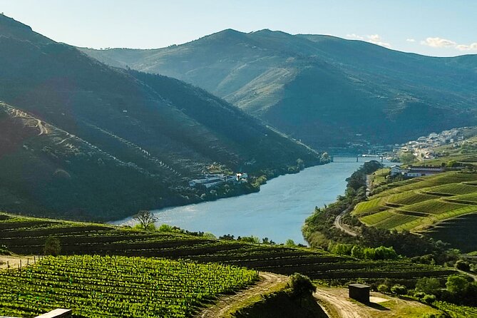 Douro Roots & History - Tour With a Local - Wine Tasting Experience