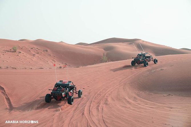 Drive Your Own Desert Fox Dune Buggy Safari - Reviews and Ratings