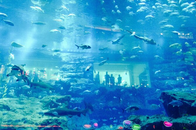 Dubai Aquarium and Underwater Zoo - Customer Reviews and Ratings