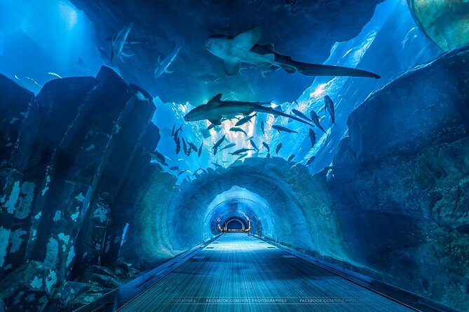 Dubai Aquarium and Underwater Zoo Admission Tickets. - Directions