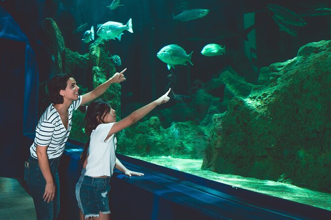 Dubai Aquarium and Underwater Zoo Ticket - Reservation and Payment Options