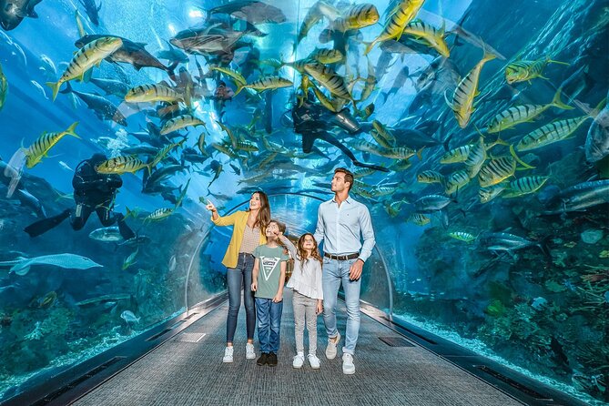 Dubai Aquarium and Underwater Zoo Tickets - Accessibility and Health Considerations