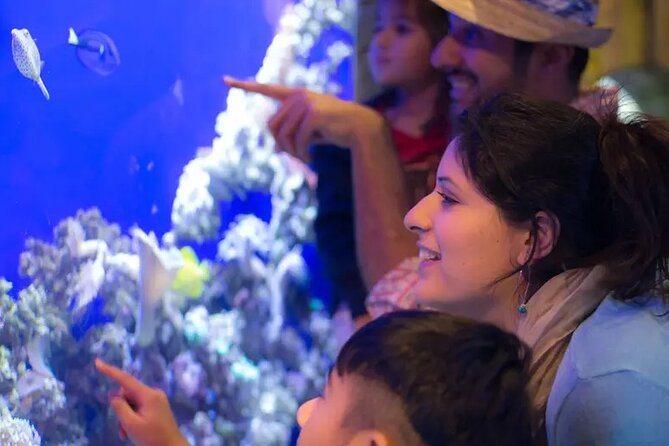 Dubai Aquarium and Underwater Zoo With Penguin - Booking Terms and Information
