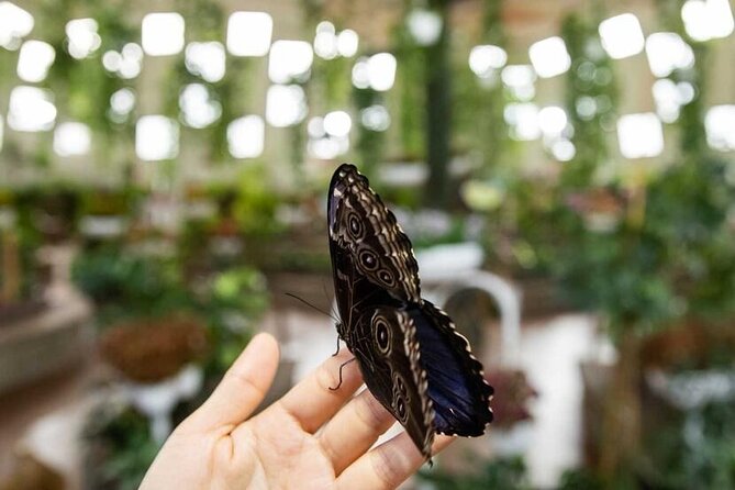 Dubai Butterfly Garden Tickets With Private Transfers - Additional Tips for Visitors