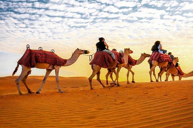 Dubai Camel Caravan With BBQ Dinner Buffet - BBQ Dinner Buffet Included