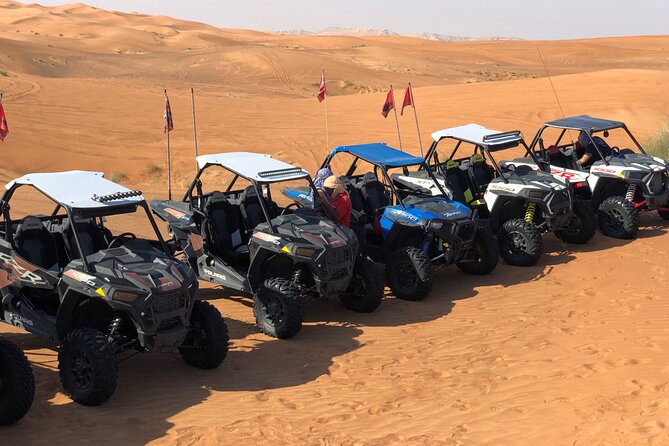 Dubai Desert Buggy Adventure - Professional Tour Guides