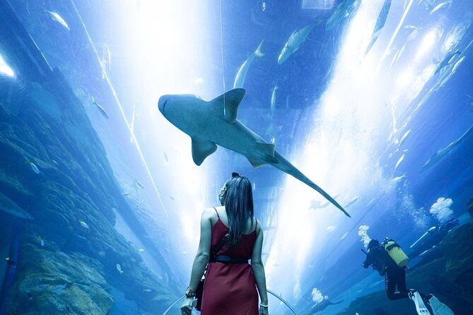 Dubai Mall Aquarium and Underwater Zoo Ticket - Dubai Aquarium & Underwater Zoo