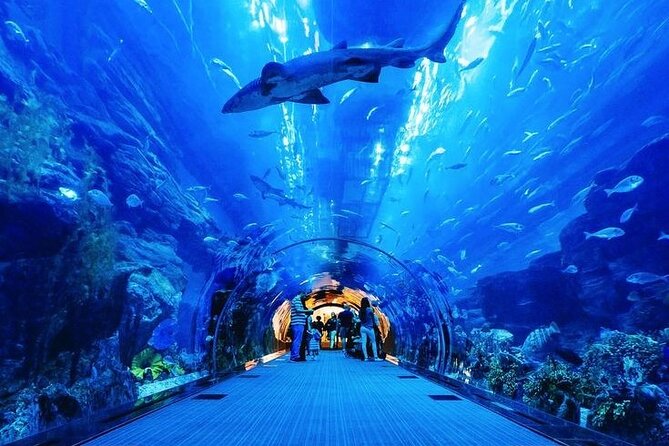 Dubai Mall Aquarium and Underwater Zoo Tickets With Transfers - Additional Information and Contact Details