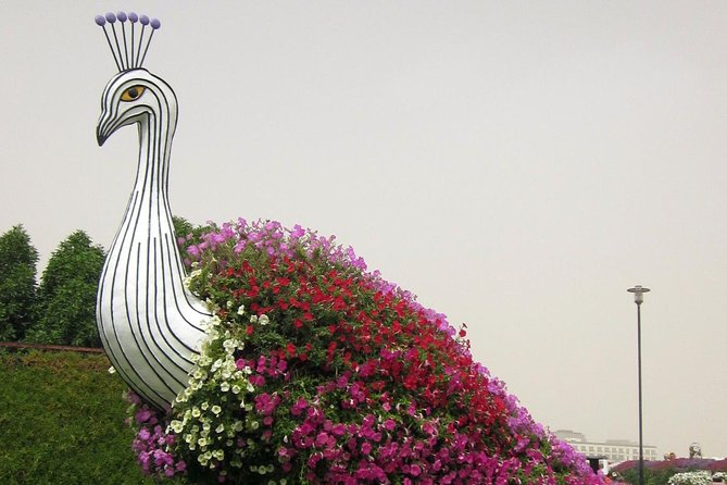 Dubai Miracle Garden Ticket With Transfer - Customer Support and Inquiries