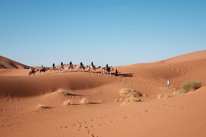 Dubai Morning Quad Bike, Sand Boarding and Camel Ride - Common questions