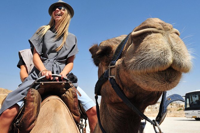 Dubai Morning Red Dunes With Camel Safari & Sandsurf - Cancellation Policy and Reviews