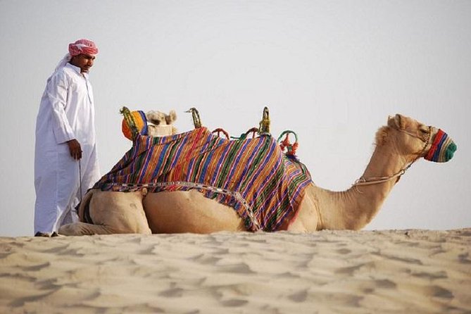 Dubai Red Dune Bedouin Desert Safari With Dune Bash and BBQ - Additional Details and Assistance