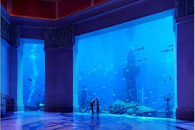 Dubai The Lost Chambers Aquarium Entrance Ticket - Additional Ticket Information