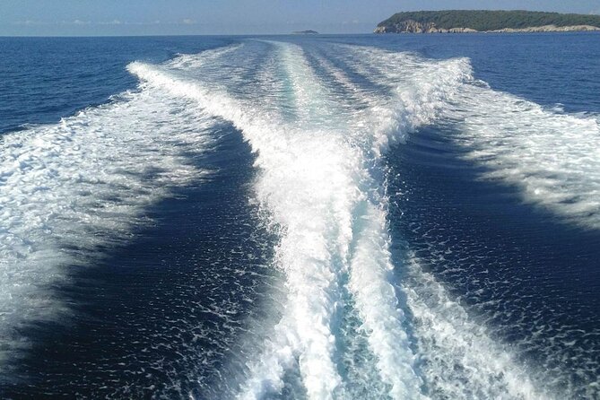 Dubrovnik Private Speed Boat Tour to the Islands - Insights From Customer Reviews