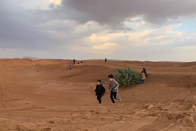 DUNE BASHING - Desert Safari, The Heartbeat of Dubai! - Know Before You Go: Cancellation Policy