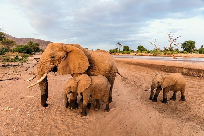 Durban: Go on Safari at 2 Game Reserves (Hluhluwe-Imfolozi) Pro Zeiss Binoculars - Common questions