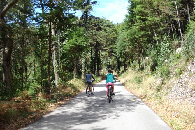 E-Bike Self-Guided Sintra - Cascais (Private Tour From Lisbon) - Additional Resources