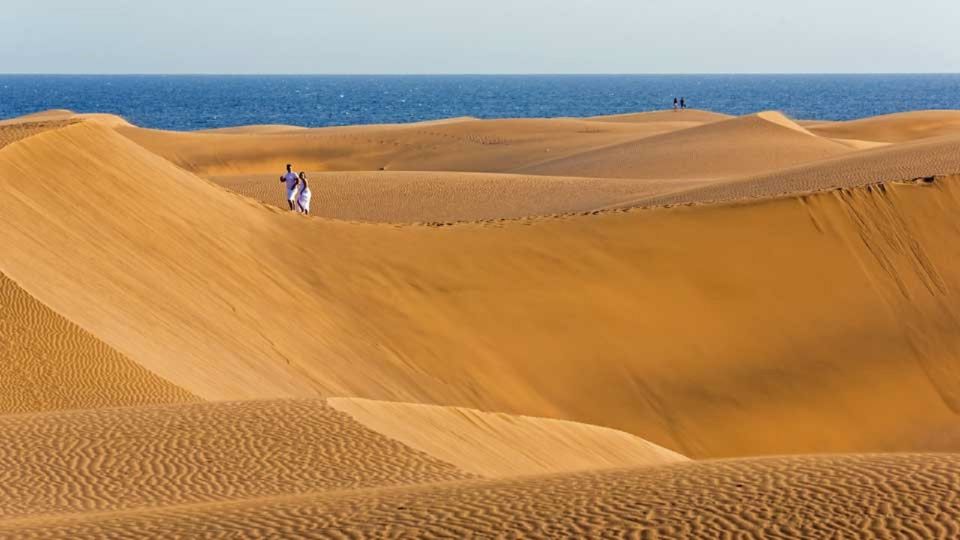 E-Bike : Sightseeing Guided Tour in Maspalomas - Important Information