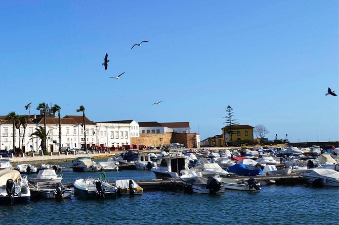 East Algarve Day Tour With Faro, Olhao, Tavira, Cacela Velha - Reviews and Feedback