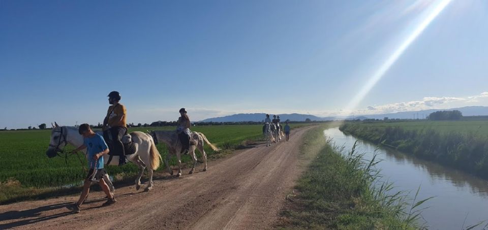 Ebro Delta National Park: Guided Horseback Riding Tour - Activity Description