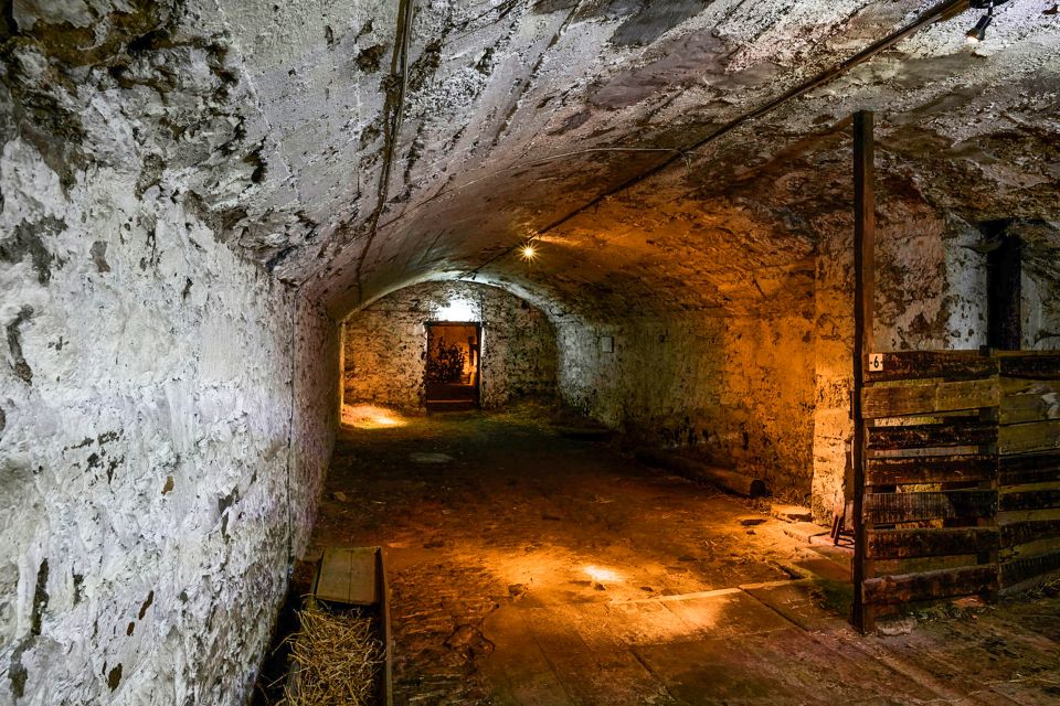 Edinburgh: Real Mary King's Close Guided Tour - Restrictions and Accessibility