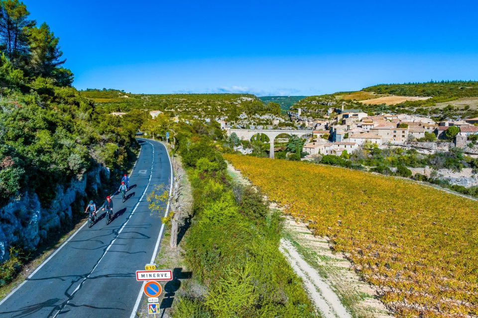 Electric Mountain Bike Wine Day: Ride and Wine Tasting - Group Adaptability