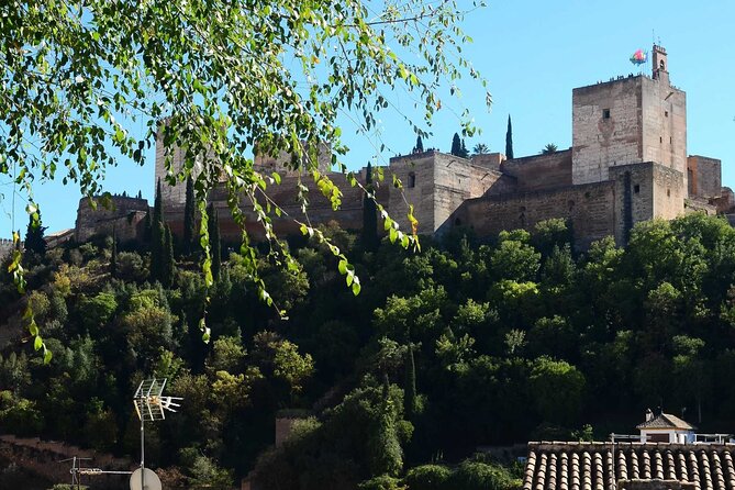 Enchanting Granada: A Self-Guided Audio Tour - Gastronomic Adventures in Granada