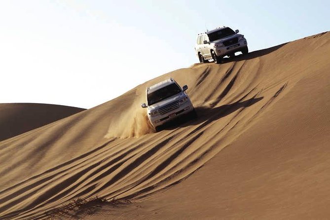 Enjoy Abu Dhabi City Tour and Desert Safari - Traveler Resources and Reviews