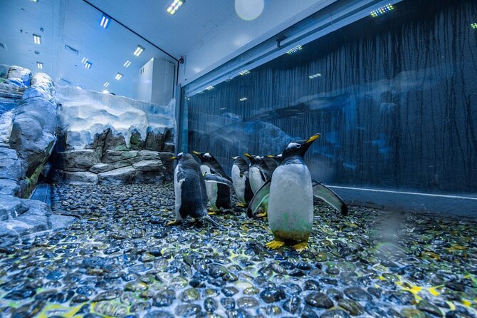 Entrance to Dubai Aquarium and Underwater Zoo - Visitor Information