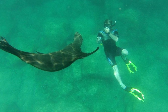 Espiritu Santo Island Snorkel & Sea Lion Adventure - Boat Features and Amenities