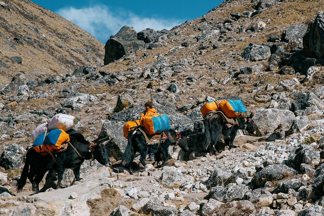 Everest Base Camp Trek - 14 Days - Packing List and Gear Recommendations