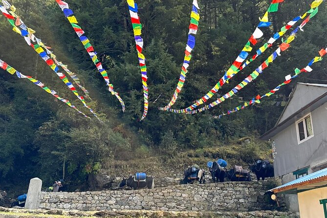 Everest Base Camp Trek - Trekking Essentials