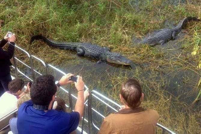 Everglades Tour in Miami - Cancellation Policy