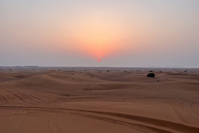 Exclusive VIP Desert Safari With Thrilling Quad Bike Adventure - Customer Satisfaction and Reviews