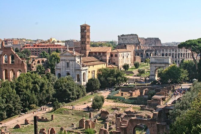 Excursion From Civitavecchia to Rome: Vatican, Colosseum, Roman Forum Lunch - Customer Reviews and Agency Response