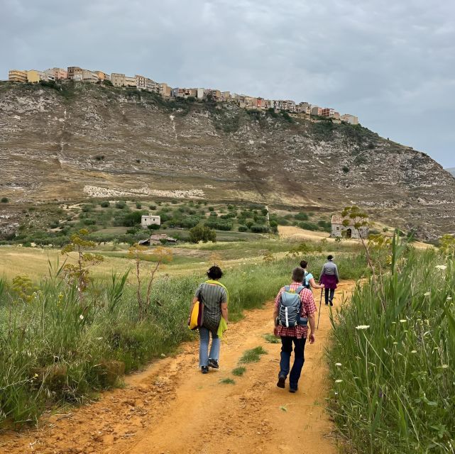 Experience With Girgentan Goats in Agrigento - Detailed Activity Description