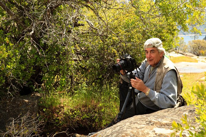 Experience Yosemite: Beginner or Advanced Photography Lesson - Reviews