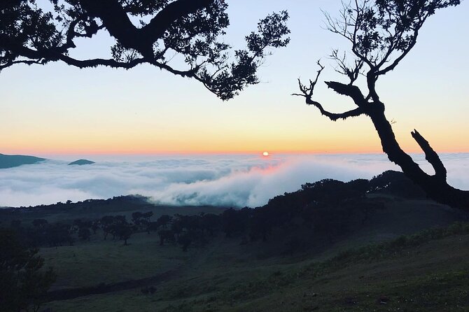 Fanal Private Sunset Hike - Unique Experience Offered