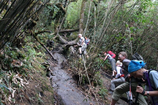 Fansipan Trek One Day Tour – Roof of Indochina - Booking Information