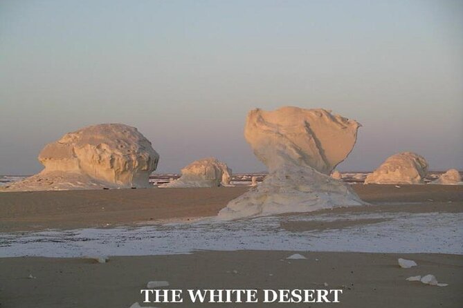 Fantastic Overnight White Desert and Baharya Oasis - Booking and Important Details