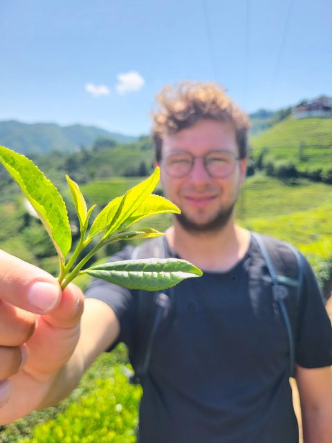 Farming With Farmers at Ancient Vegetable Village "Tra Que" - Inclusions