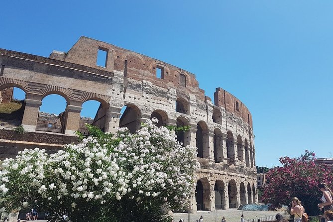 Fast Track Colosseum Guided Tour - Cancellation Policy