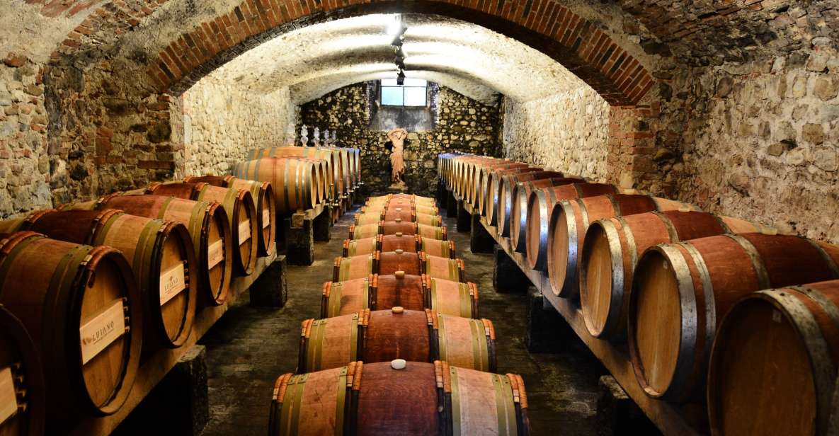 Florence: Exclusive Chianti Classico Day Trip - Important Information