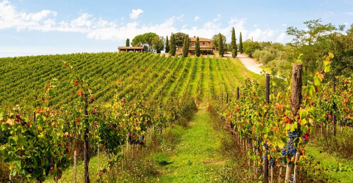 Florence: Private Full Day Tour to Chianti Wine Region - Customer Reviews