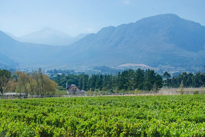 Franschhoek Half Day Winelands Cycle Tour - Tour Guide Information